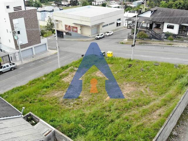 #358 - Terreno para Venda em Flores da Cunha - RS - 1