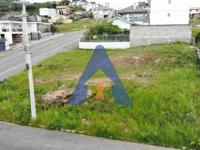 #358 - Terreno para Venda em Flores da Cunha - RS - 2