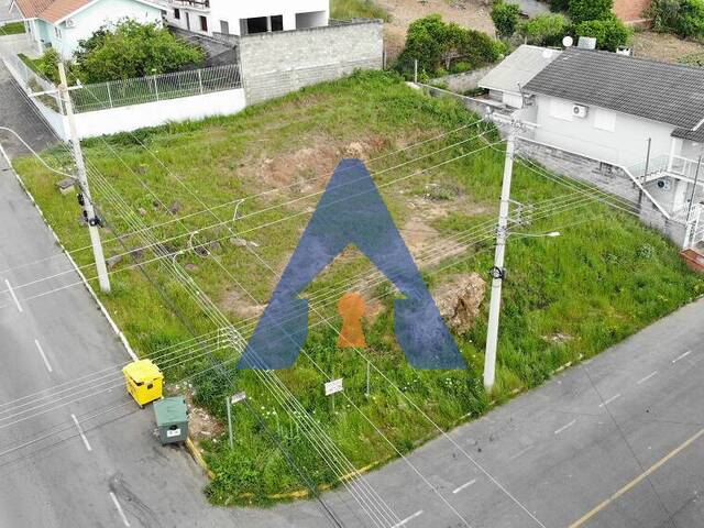 #358 - Terreno para Venda em Flores da Cunha - RS - 3