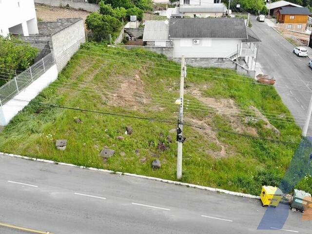 Terreno para Venda em Flores da Cunha - 4