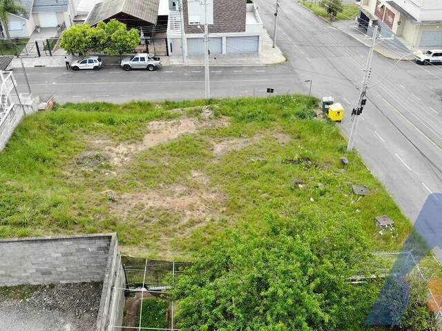 Terreno para Venda em Flores da Cunha - 5