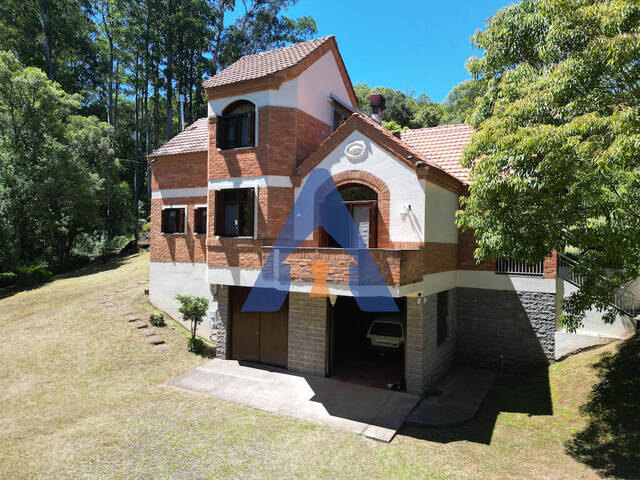 #360 - Chácara para Venda em Flores da Cunha - RS - 1