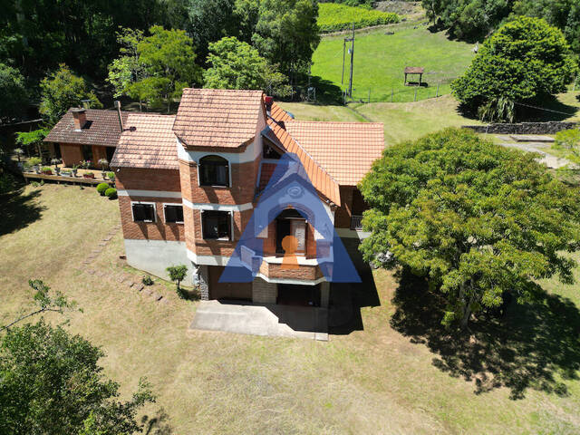 #360 - Chácara para Venda em Flores da Cunha - RS - 3