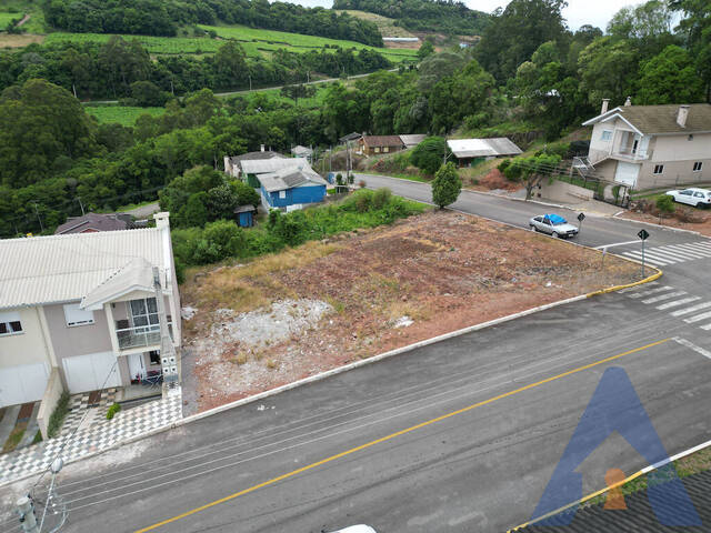 Terreno para Venda em Nova Pádua - 4