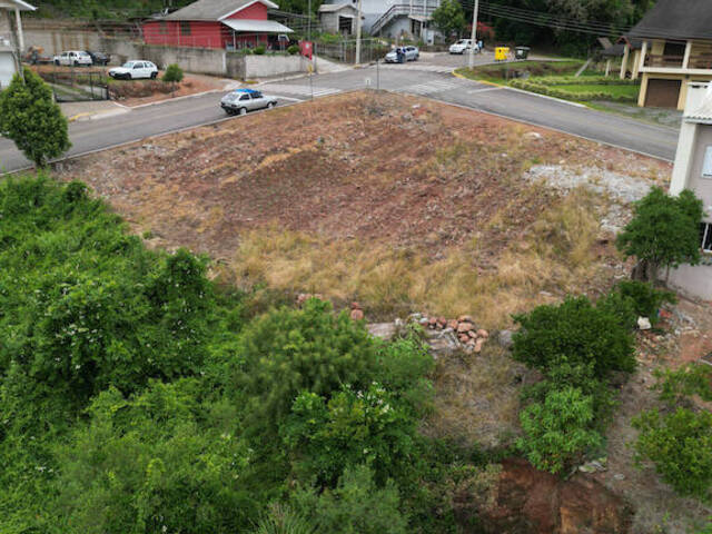 Terreno para Venda em Nova Pádua - 5