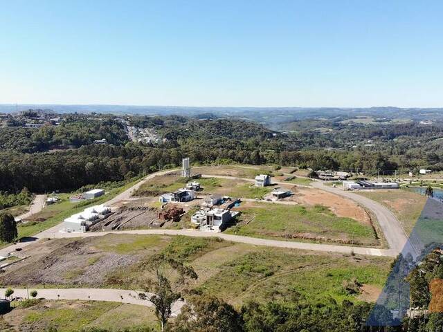 #361 - Chácara para Venda em Flores da Cunha - RS - 1
