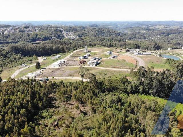 #361 - Chácara para Venda em Flores da Cunha - RS - 3