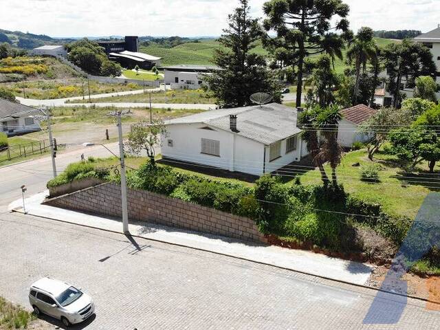 #363 - Terreno para Venda em Flores da Cunha - RS - 3