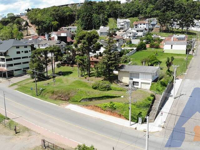 Venda em Centro - Flores da Cunha