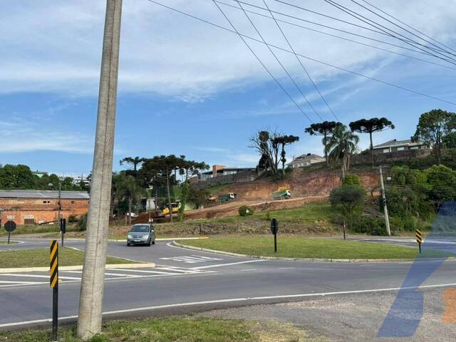 #364 - Terreno para Venda em Flores da Cunha - RS - 3