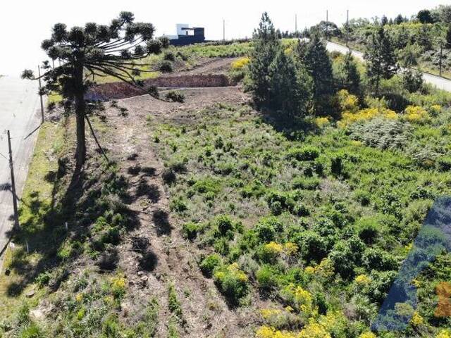#366 - Terreno para Venda em Flores da Cunha - RS - 3