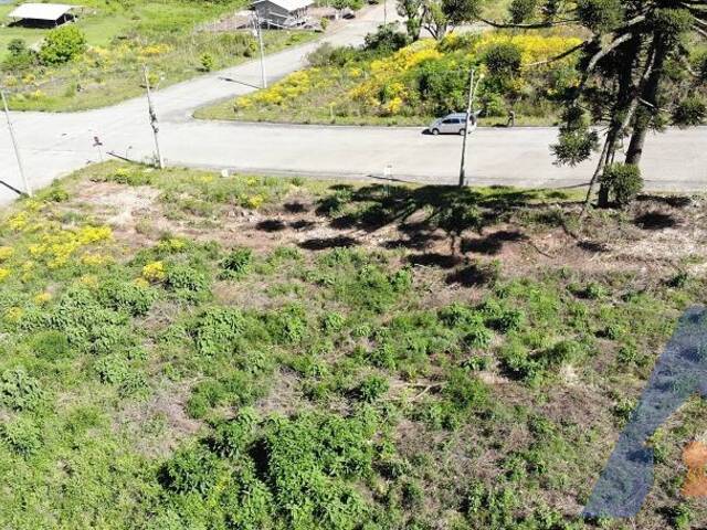 Terreno para Venda em Flores da Cunha - 5