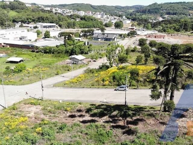 Terreno para Venda em Flores da Cunha - 4