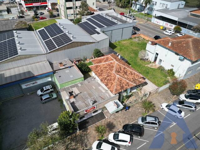 #367 - Terreno para Venda em Flores da Cunha - RS - 3