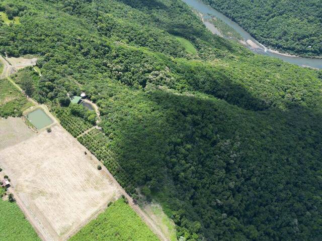 #368 - Chácara para Venda em Flores da Cunha - RS - 2