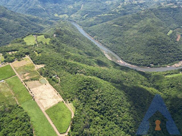 #368 - Chácara para Venda em Flores da Cunha - RS - 1