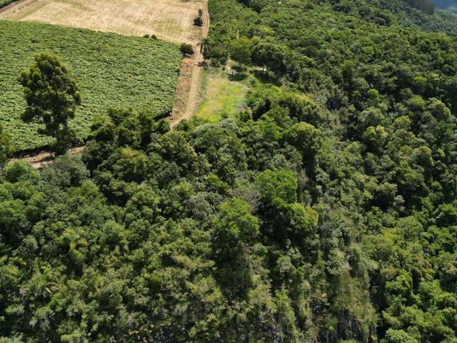Chácara para Venda em Flores da Cunha - 4