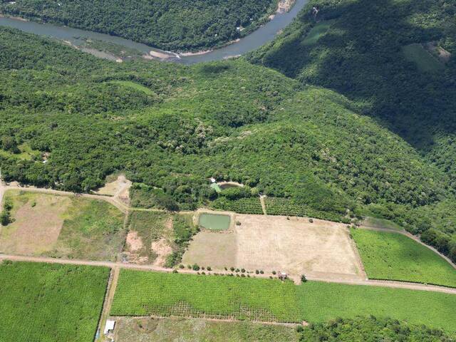 #368 - Chácara para Venda em Flores da Cunha - RS - 3