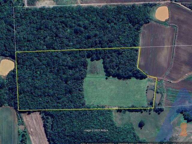 #314 - Chácara para Venda em Flores da Cunha - RS - 2