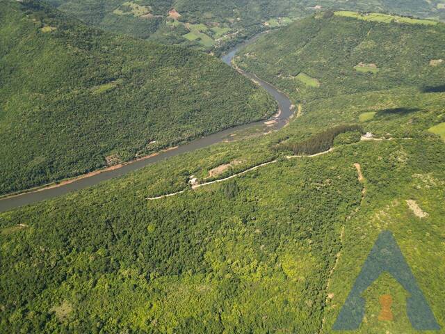 Chácara para Venda em Flores da Cunha - 4