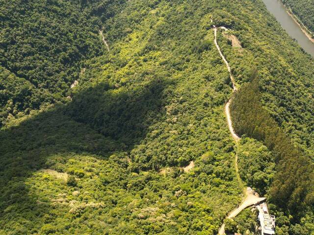 #369 - Chácara para Venda em Flores da Cunha - RS - 1