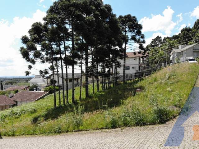 #371 - Terreno para Venda em Flores da Cunha - RS - 3