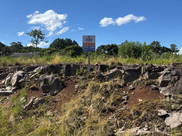 Terreno para Venda em Flores da Cunha - 5