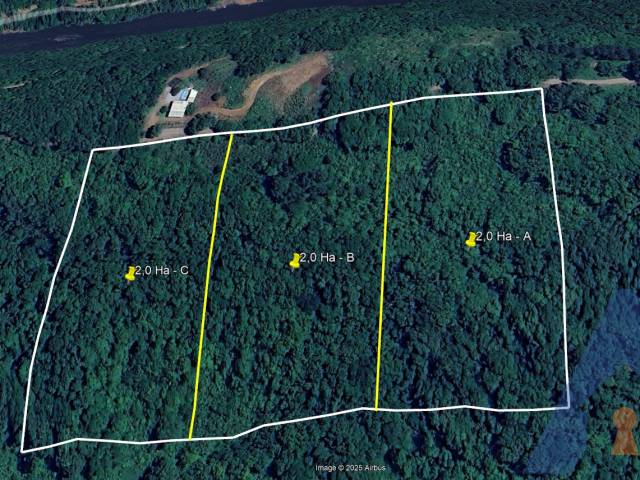 #369 - Chácara para Venda em Flores da Cunha - RS - 2