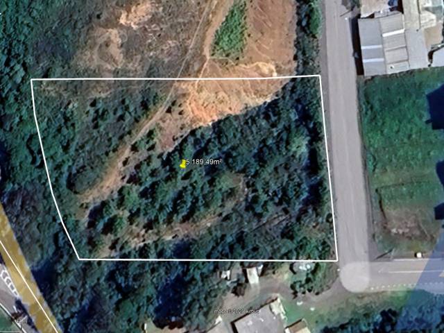 #376 - Terreno para Venda em Flores da Cunha - RS - 1