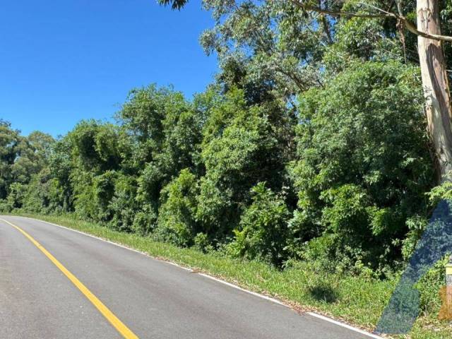 #377 - Chácara para Venda em Nova Pádua - RS - 1