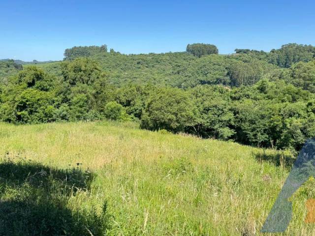 #377 - Chácara para Venda em Nova Pádua - RS - 3