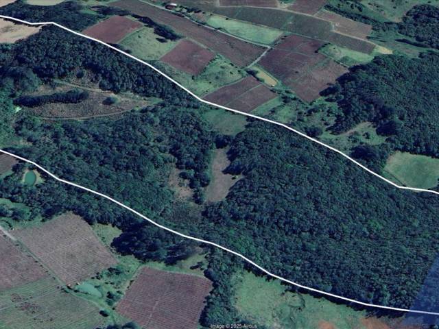 #377 - Chácara para Venda em Nova Pádua - RS - 3