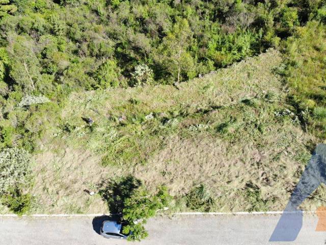 #315 - Terreno para Venda em Flores da Cunha - RS - 2