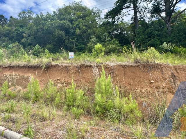 #378 - Terreno para Venda em Flores da Cunha - RS - 1