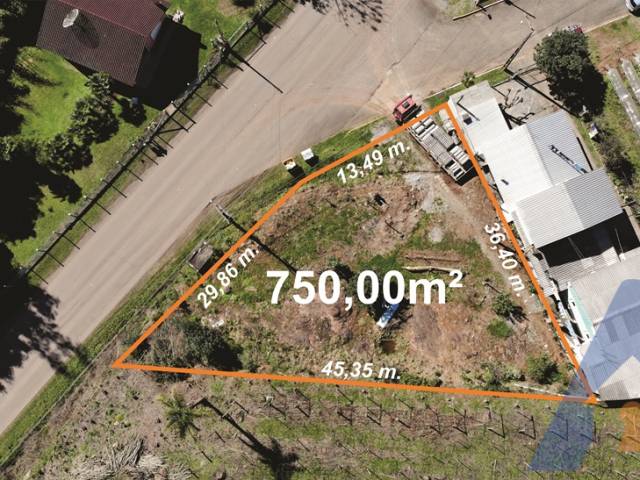 #282 - Terreno para Venda em Flores da Cunha - RS - 1