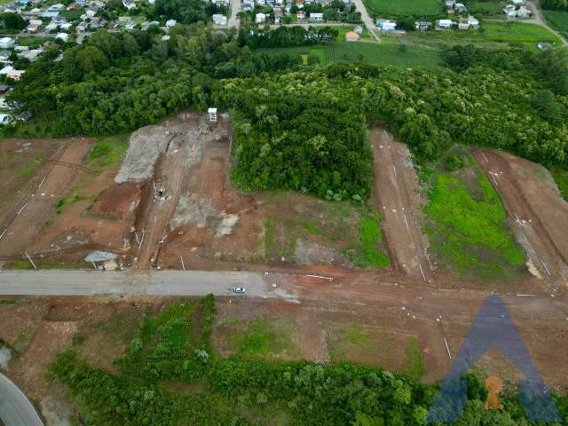 #379 - Terreno para Venda em Flores da Cunha - RS - 1