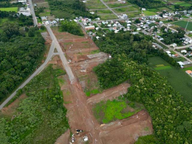 Terreno para Venda em Flores da Cunha - 4