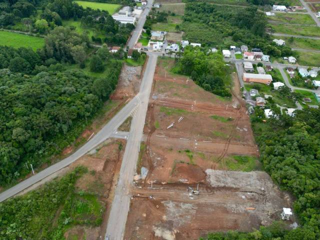 Terreno para Venda em Flores da Cunha - 5