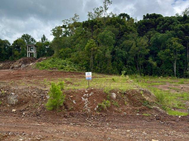 #379 - Terreno para Venda em Flores da Cunha - RS - 3