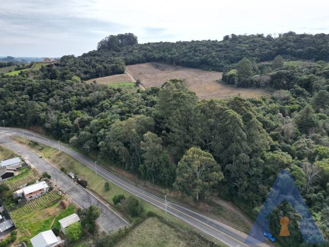 Chácara para Venda em Nova Pádua - 5