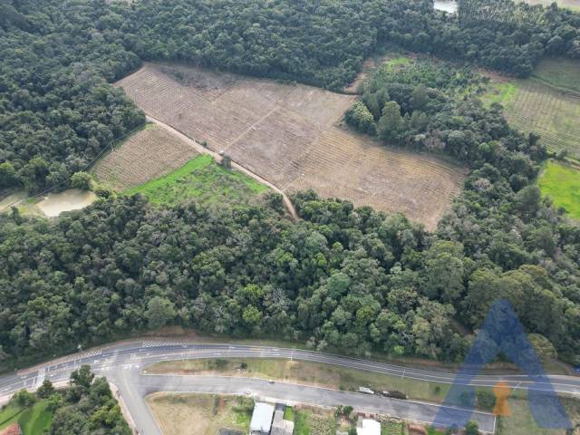 #382 - Chácara para Venda em Nova Pádua - RS - 1