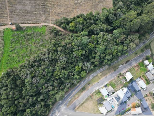 #382 - Chácara para Venda em Nova Pádua - RS - 2