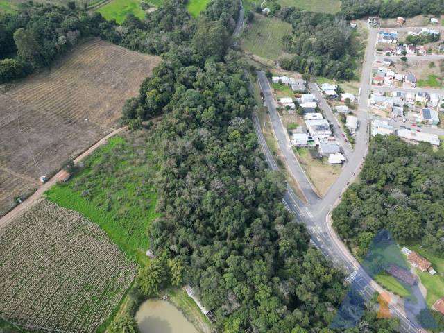 #382 - Chácara para Venda em Nova Pádua - RS - 3