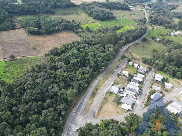 Chácara para Venda em Nova Pádua - 4