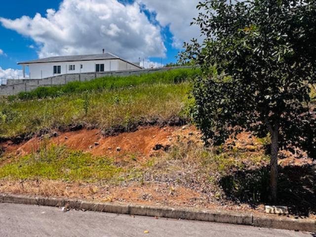 Terreno para Venda em Flores da Cunha - 4