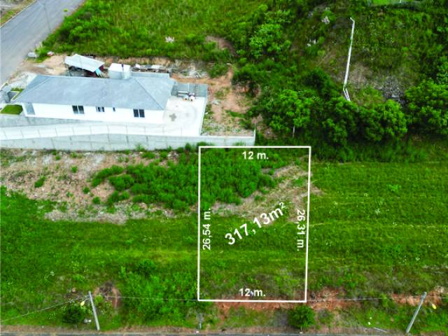 #385 - Terreno para Venda em Flores da Cunha - RS - 3