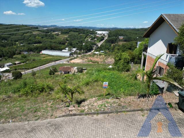 #390 - Terreno para Venda em Flores da Cunha - RS - 2