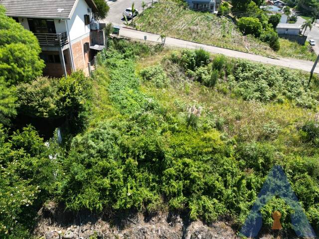 Terreno para Venda em Flores da Cunha - 4