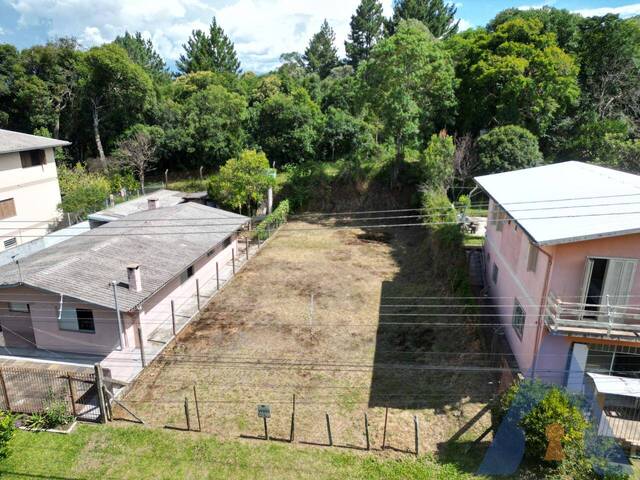 #388 - Terreno para Venda em Caxias do Sul - RS - 1