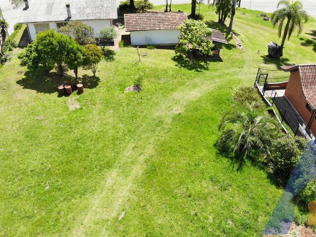 #393 - Terreno para Venda em Flores da Cunha - RS - 3